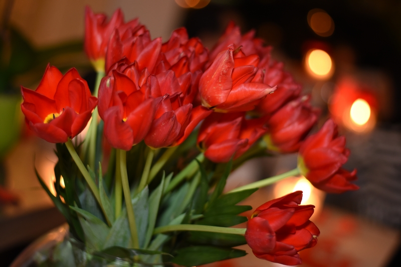 Valentine's at Indigo on The Roof